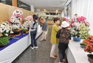 さつき展示