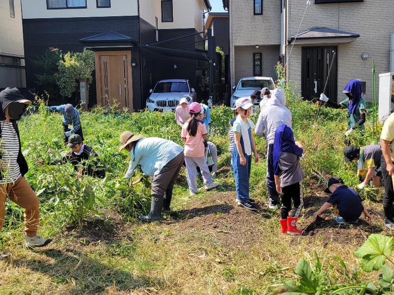 20250917農業体験2