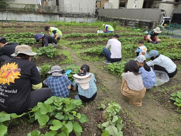 草刈りの様子