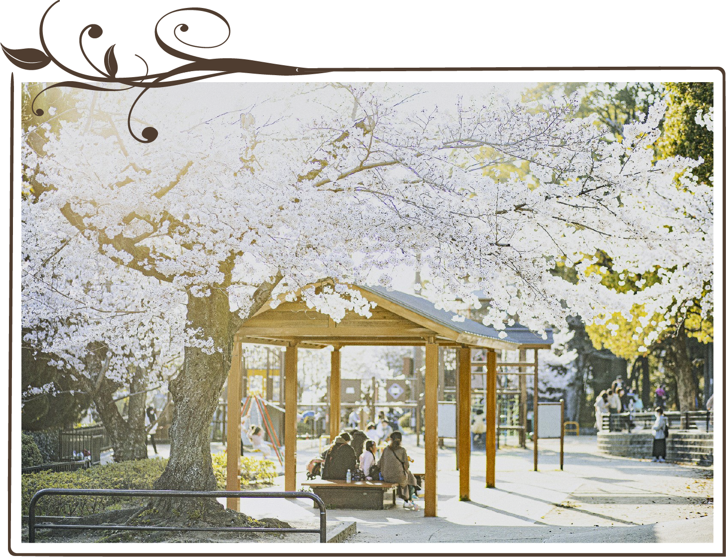 五月山公園の風景