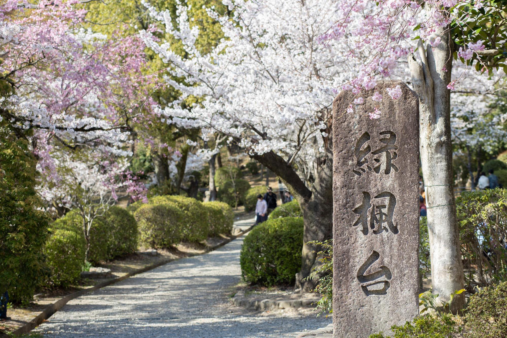 五月山緑風台