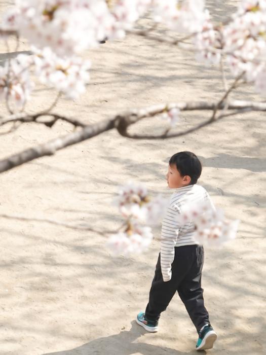 一般財団法人いけだ市民文化振興財団会長賞 緒方清美様