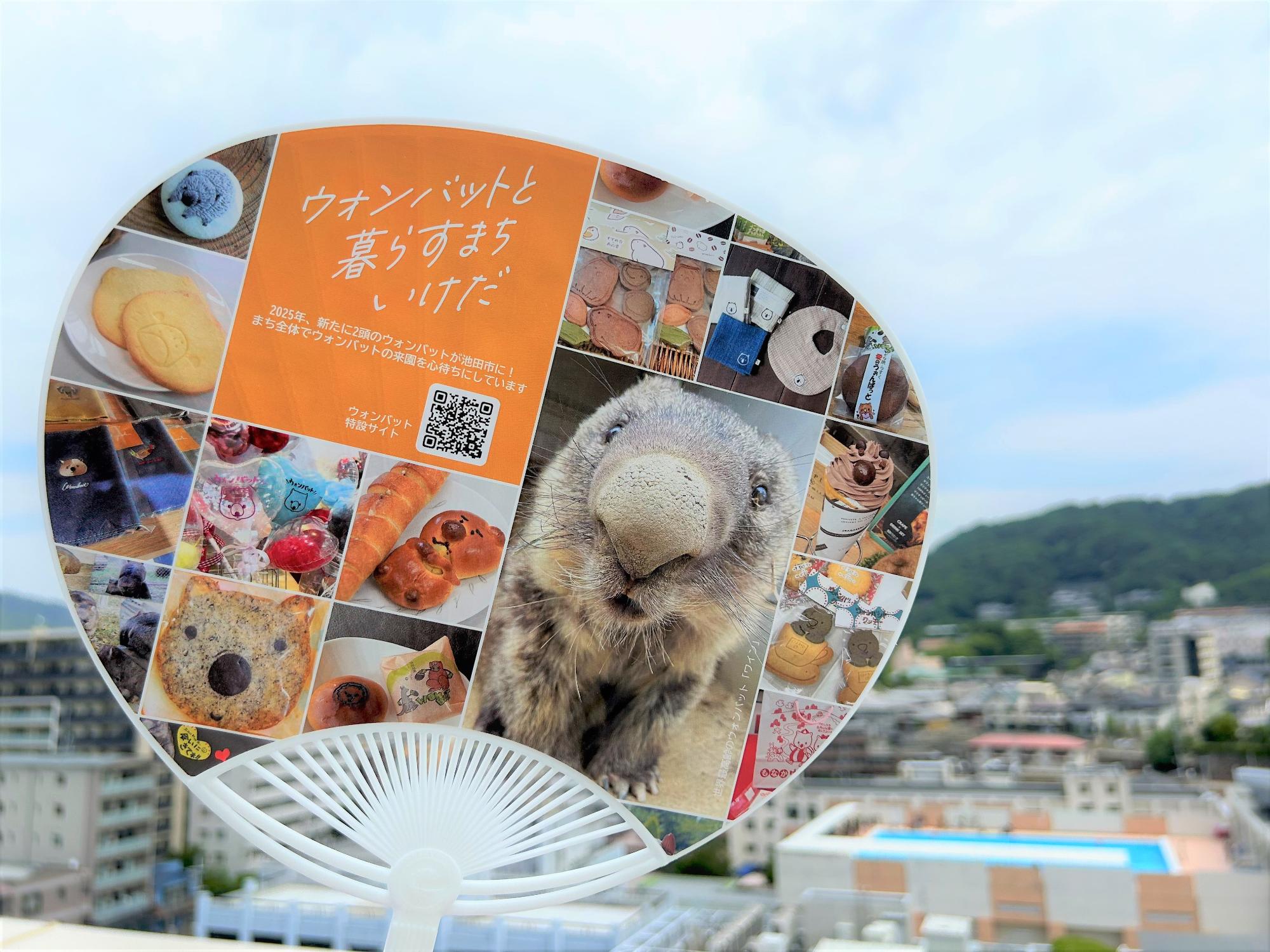 うちわの写真