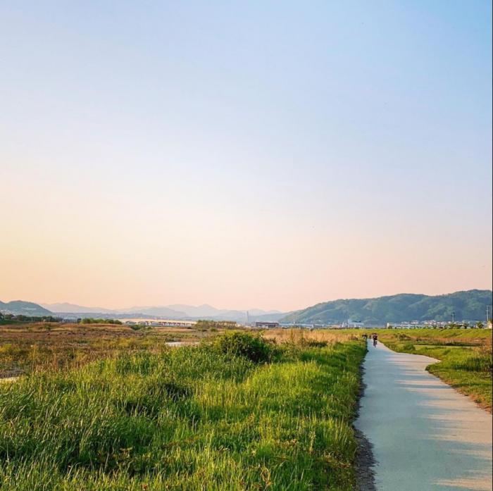 猪名川の河川敷