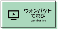 ウォンバットテレビ