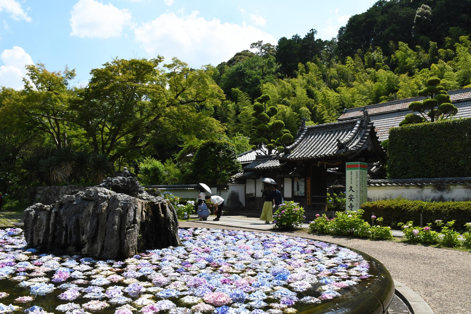 久安寺のあじさい