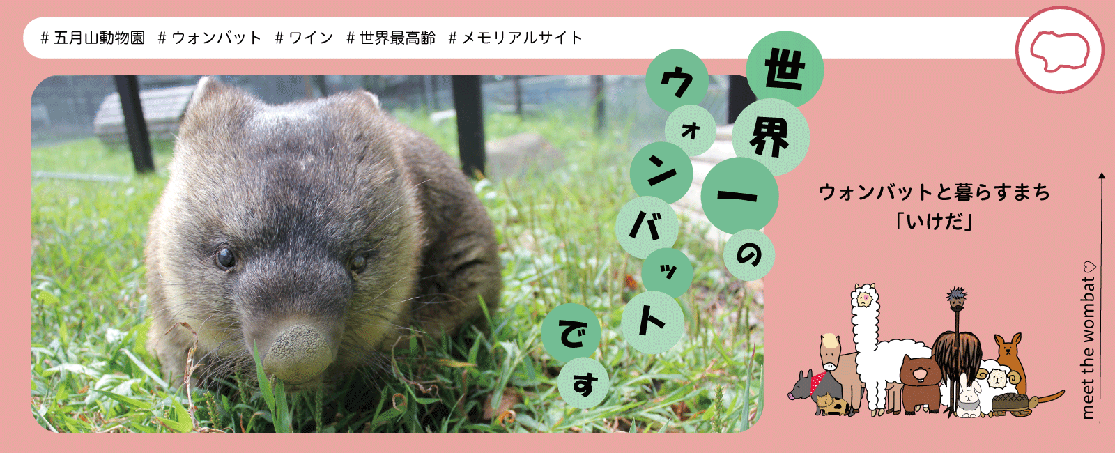 ウォンバットと暮らすまちいけだ