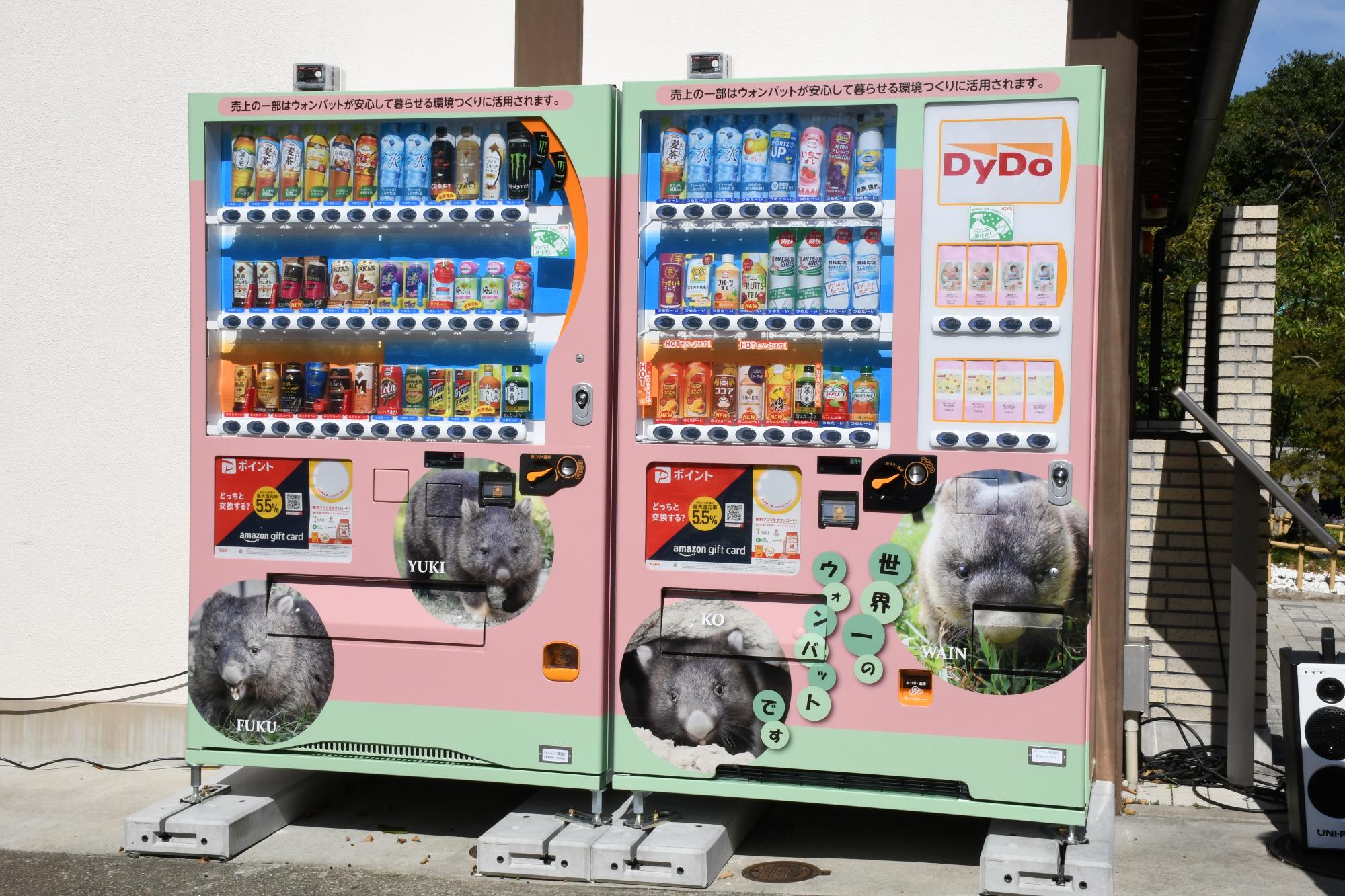 9月25日 ウォンバットが自動販売機に！？のイメージ