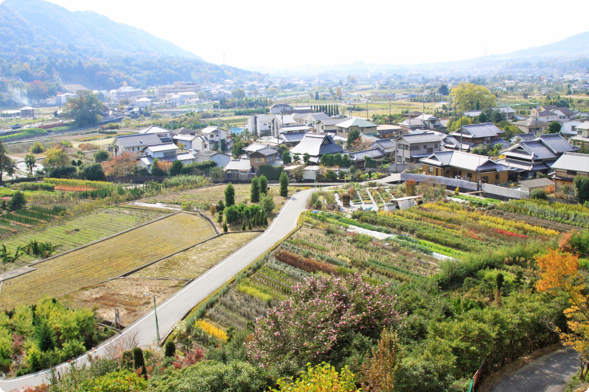 吉田町
