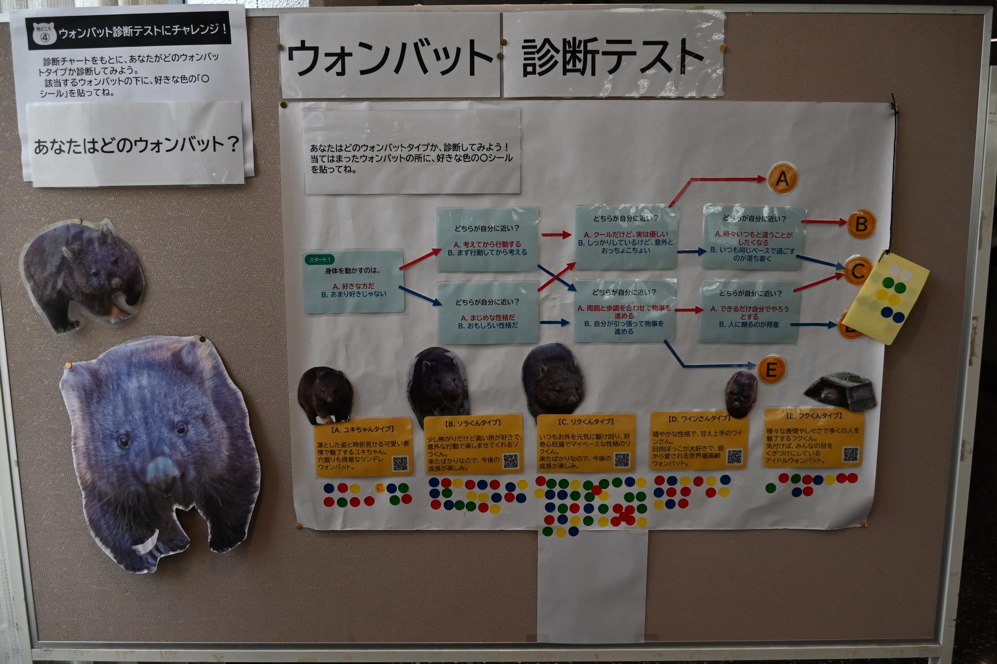 ウォンバットパネル展4