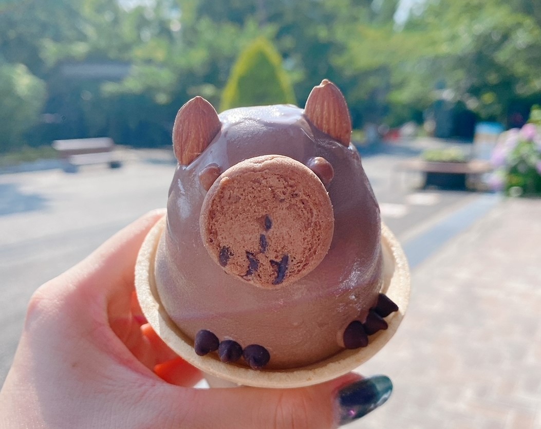 ウォンバットアイス