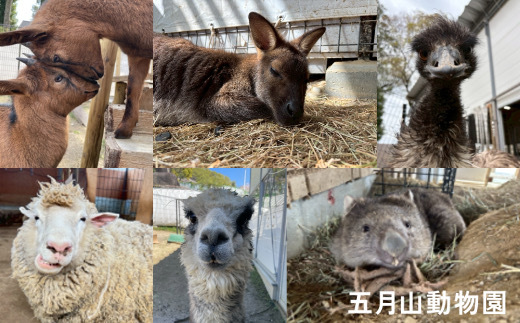 五月山動物園