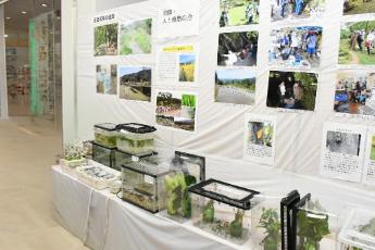 自然展