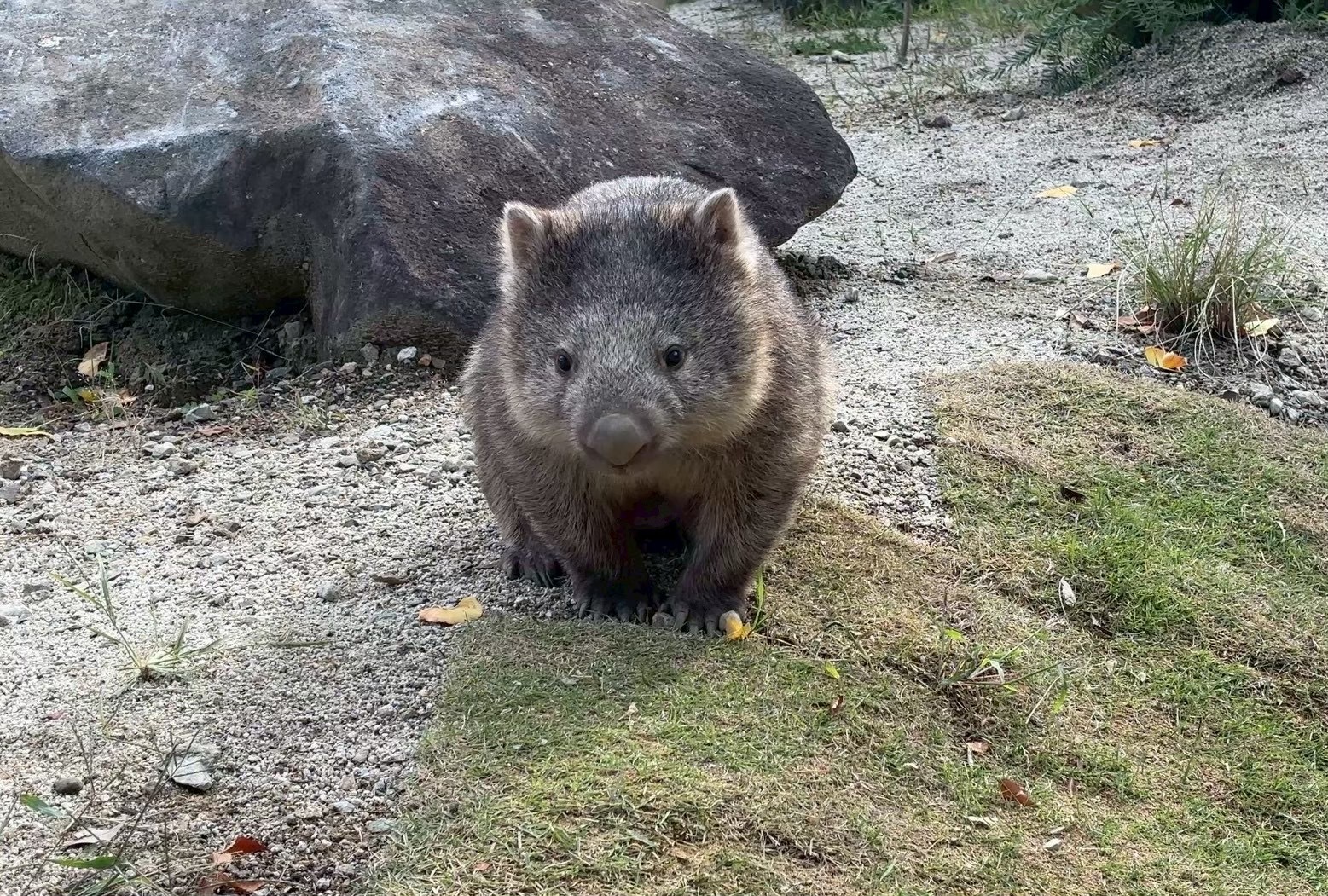 ソラ