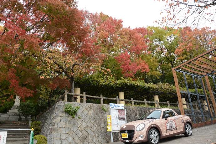 11月17日 はたらくウォンバットカー 五月山公園の紅葉を撮影のイメージ