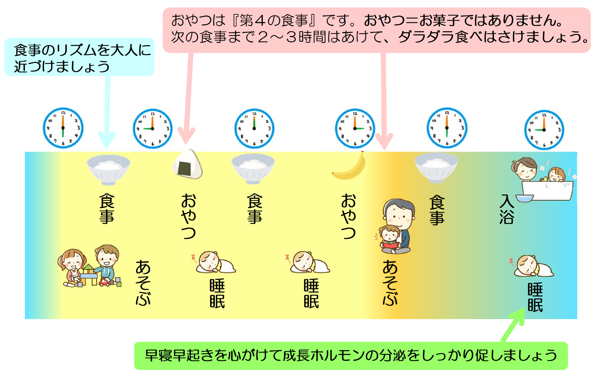 1～2歳の生活リズム