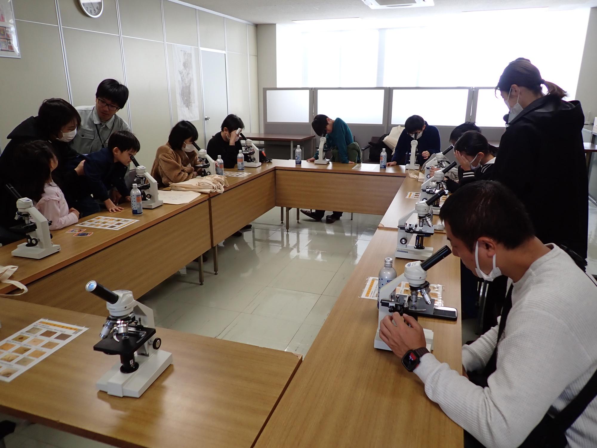 顕微鏡観察の様子