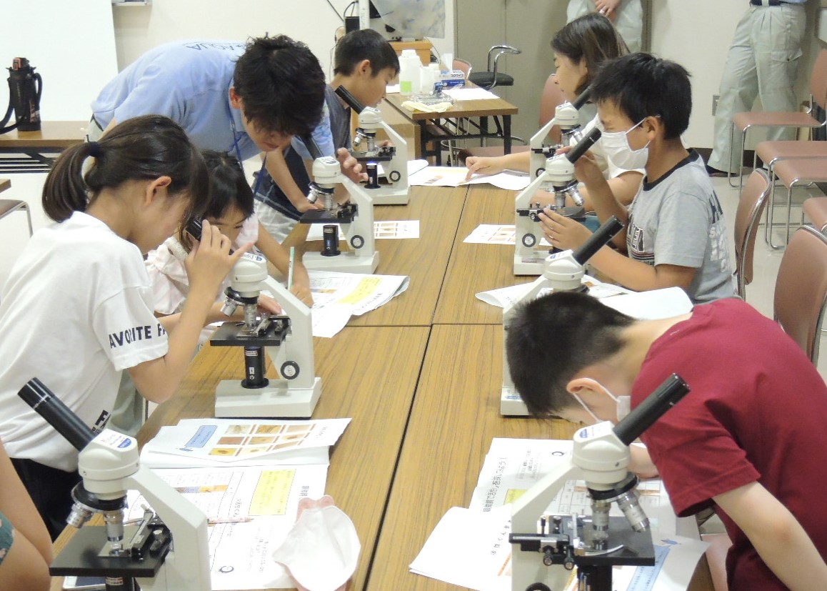 微生物の顕微鏡観察