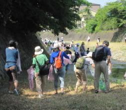 大勢の参加者達が川岸を歩いて清掃している写真