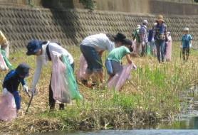 ピンクや緑色のごみ袋を持った参加者達が川岸のゴミ拾いをしている写真
