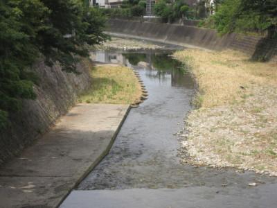 清掃活動が終わった後の川を写した写真