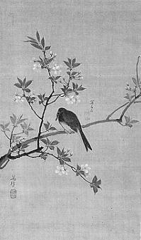 （画像）桜花に鳥