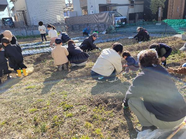 みんなで雑草引き