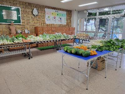 野菜販売