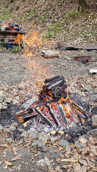 焚火の写真