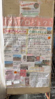 池田みかん写真1